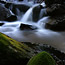 Nature4_thumb